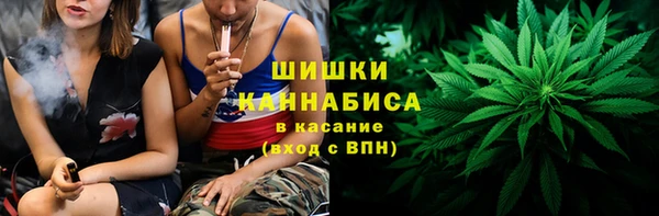 твердый Краснослободск