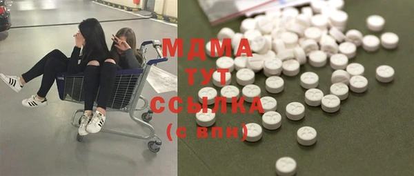 МДПВ Пересвет