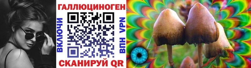 наркотики  Бежецк  Псилоцибиновые грибы Magic Shrooms 